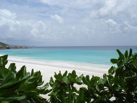 Rising Sun Guest House La Digue Zewnętrze zdjęcie